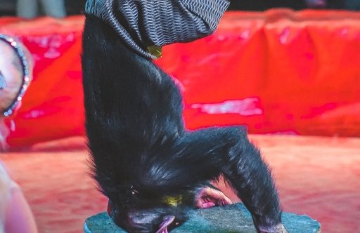 &TScy;&icy;&rcy;&kcy; &shcy;&acy;&pcy;&icy;&tcy;&ocy; "&Gcy;&Lcy;&Ocy;&Bcy;&Ucy;&Scy;"