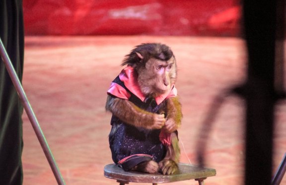 &TScy;&icy;&rcy;&kcy; &shcy;&acy;&pcy;&icy;&tcy;&ocy; "&Gcy;&Lcy;&Ocy;&Bcy;&Ucy;&Scy;"