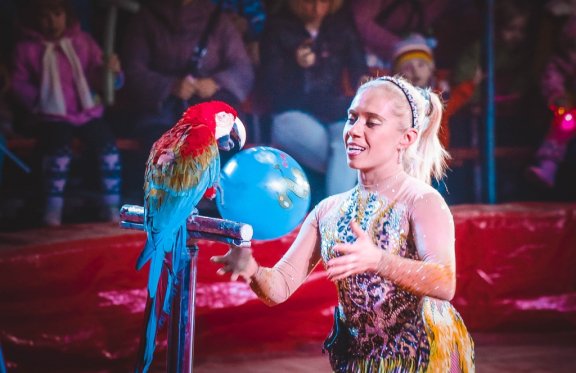 &TScy;&icy;&rcy;&kcy; &shcy;&acy;&pcy;&icy;&tcy;&ocy; "&Gcy;&Lcy;&Ocy;&Bcy;&Ucy;&Scy;"