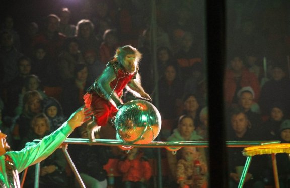 &TScy;&icy;&rcy;&kcy; &shcy;&acy;&pcy;&icy;&tcy;&ocy; "&Gcy;&Lcy;&Ocy;&Bcy;&Ucy;&Scy;"